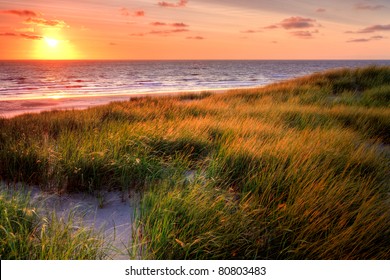 105,206 Beach grass sunset Images, Stock Photos & Vectors | Shutterstock