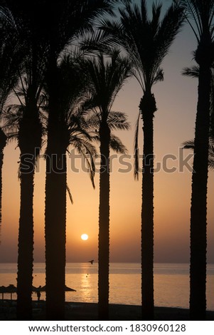 Similar – venice beach Strand