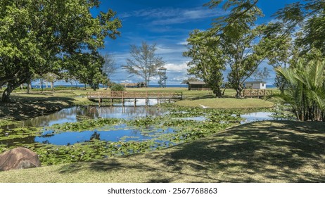 Seaside tropical park at the resort. Blooming water lilies in the pond. Pedestrian bridge over the water. A boulder on the shore, green trees. Reflection.An observation tower, canopies by the ocean - Powered by Shutterstock