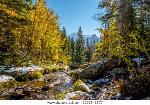 Season changing, first\
snow and autumn aspen trees in  Rocky Mountain National Park,\
Colorado, USA. 