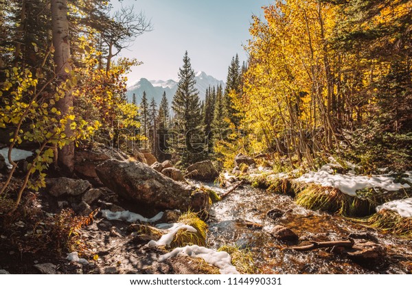 Season changing, first\
snow and autumn aspen trees in  Rocky Mountain National Park,\
Colorado, USA. 