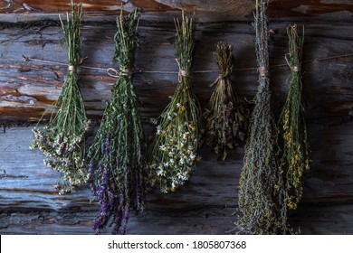 The season for collecting medicinal plants. Healing dried herbs and flowers. Bouquets of plants for drying hang on a jute rope. Herbal medicine. Retro toned.