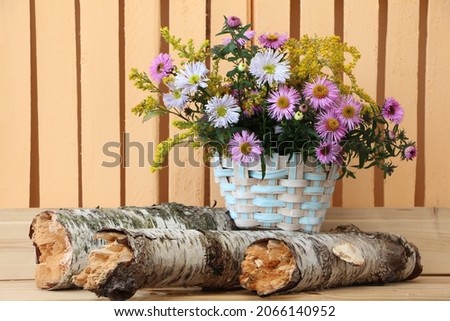 Season garden decoration with birch logs and a blue wicker basket with autumn aster flowers. Wooden fence background.