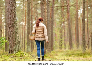 season and leisure people concept - young woman with mushrooms in basket walking along autumn forest