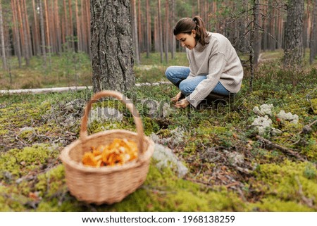 Similar – Image, Stock Photo Mushroom