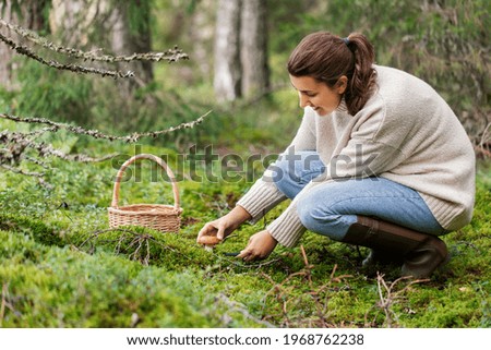 Similar – Image, Stock Photo Mushrooms in the forest