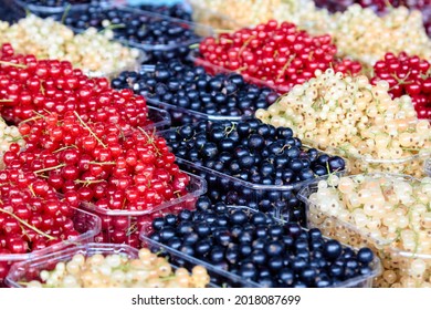 Seasonable black, white and red currant on a country market. High quality photo. Selective focus