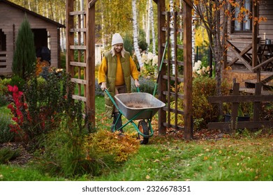 seasonal autumn garden work. Woman gardener at wooden pergola with wheelbarrow. Natural country living - Shutterstock ID 2326678351