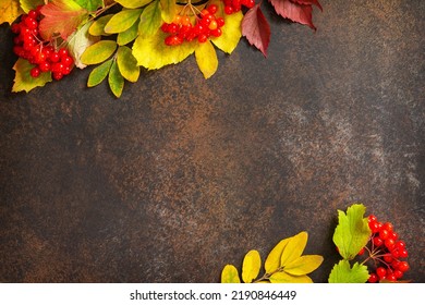 Seasonal background. Autumn composition with autumn maple leaves and berries on a slate dark background. Top view flat lay background with copy space. - Powered by Shutterstock