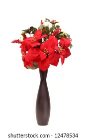 Seasonal And Festive Poinsetta Plant In Black Vase