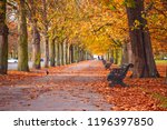 Seasonal landscape, autumn scene with a treelined path in Greenwich park, London