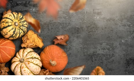 A seasonal rustic thanksgiving fall background with pumpkins and falliing leaves. Autumn halloween season layout. - Shutterstock ID 2206401065
