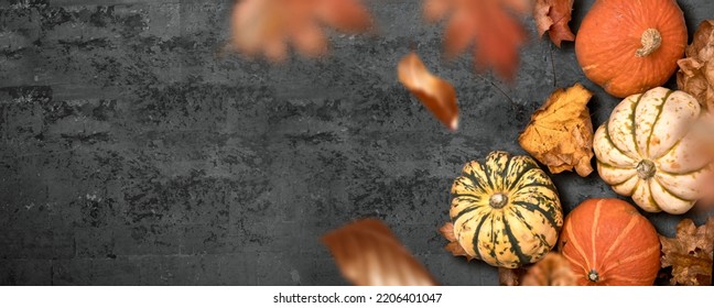 A seasonal thanksgiving fall background with pumpkins and falliing leaves. Autumn halloween season layout. - Shutterstock ID 2206401047