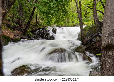 Seasonal Waterfall In The Tahoe National Forest