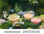 Seastars and anemones stuck to a rock in the ocean aquarium