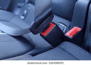 Seat belt in the back seat of the car. - Shutterstock ID 2324580591