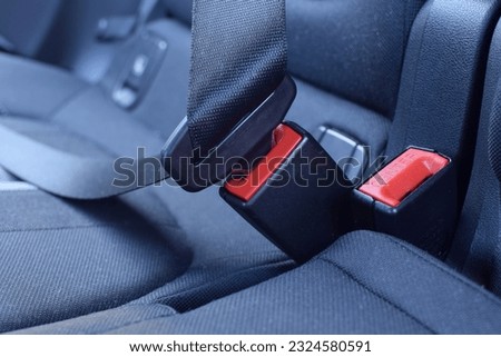 Seat belt in the back seat of the car.