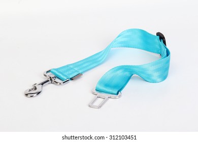   Seatbelt Leash