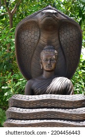 The Seated Buddha Image Is Surrounded By A Large Snake Or Serpent.