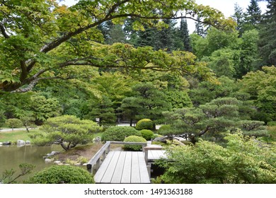 Botanic Garden Washington Images Stock Photos Vectors