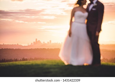 Seattle Sunset Wedding Portraits Silhoutte