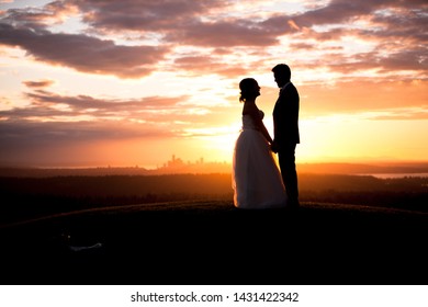 Seattle Sunset Wedding Portraits Silhoutte