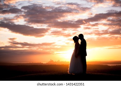 Seattle Sunset Wedding Portraits Silhoutte