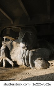 Seattle, USA January 2020. Fremont Troll Under The Bridge