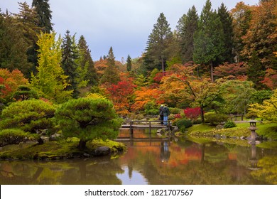 1,393 Seattle fall season colors Images, Stock Photos & Vectors ...