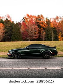 Seattle, WA, USA
August 11, 2022
Green Ford Mustang Showing The Drivers Side Of The Car With Trees In The Background