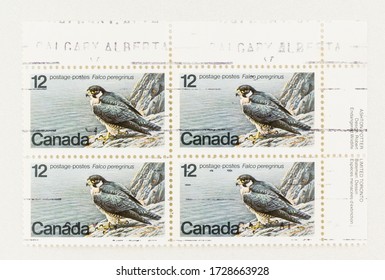 SEATTLE WASHINGTON - May 10, 2020:  Block Of 4 Stamps Featuring Peregrine Falcon, An Endangered Species Of Canada. Scott # 752