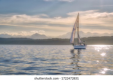  Seattle, Washington / USA - July 22, 2018: A sailboat sails in the late afternoon as sunlight glints on Puget Sound and the Olympic Mountains rise in the background near Seattle.
