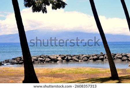 Seawall from trees with roacks