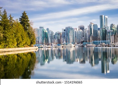 Seawall Winter Day At Stanley Park, Vancouver