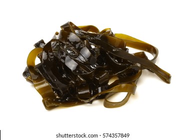 Seaweed Kelp (laminaria)  Isolated On White.