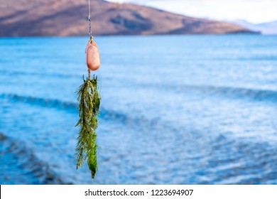 Seaweed On A In-line Spinnerbait With Unfocused Lake And Mountains Background. Unsuccessful Fishing Concept.