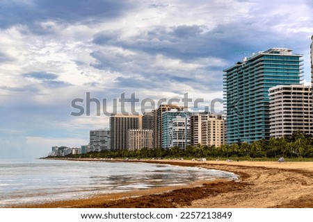 Seaweed pollution along Miami Beach, Florida, USA