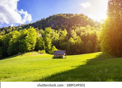 Secluded Cabin In The Woods. Mountain Log Cabin Surrounded By Trees And Grass.