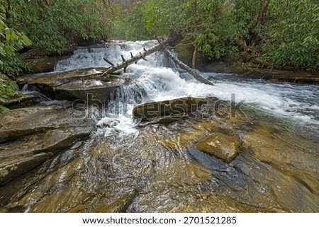 Secluded Forest Waterfall in a Mountain Stream in the Gret Smoky Mountains in North Carolina