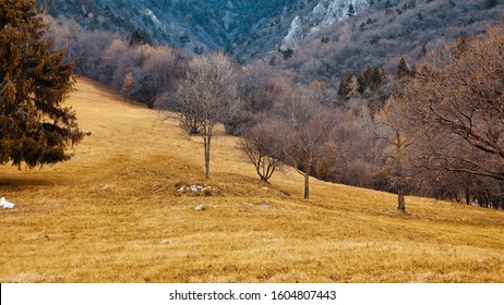 Secluded Mountain House With Plain