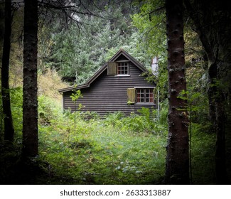 Secluded wooden cabin surrounded by lush greenery and tall pine trees in a Norwegian forest. The rustic cottage evokes a sense of solitude, mystery, and connection to nature. Perfect image for themes  - Powered by Shutterstock - Get 15% off with code: PIKWIZARD15
