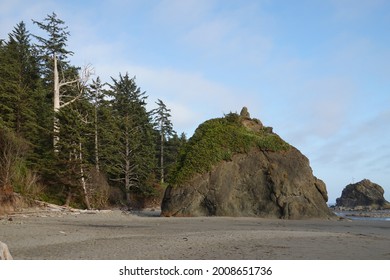 Second Beach. Enjoy The Rugged Washington Coast At This Majestic Beach. 