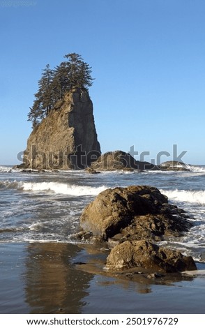 Second Beach, La Push, Olympic Nationalpark, Washington, USA