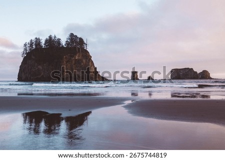 Second Beach seastacks in La Push Washington sunset reflected in the tide