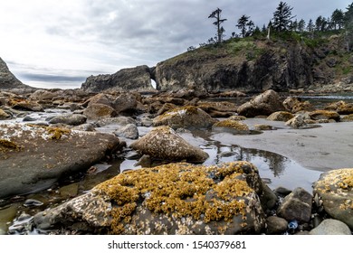 Second Bech, Forks, State Washington