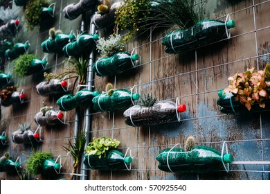 Second life of a plastic bottles, as a pots for plants. A lot of flowers and cactus inside the bottles in the ground. Composition on a wall as a modern design element