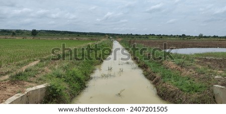 Secondary irrigation channels in Way Serdang sub-district, Mesuji district, Lampung
