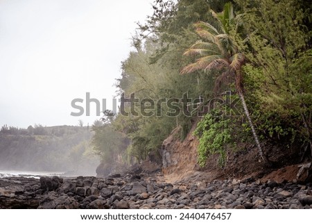 Secret Beach, officially known as Kauapea Beach, is a beach in Kalihiwai and Kīlauea on the north shore of the island of Kauai, Hawaii. The beach is known for its size, seclusion, and beauty