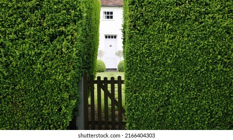 A secret entrance through a tall green box hedge (Buxus sempervirens) into a country house garden. 