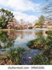 Secret Garden In Brooklyn Botanic Garden.